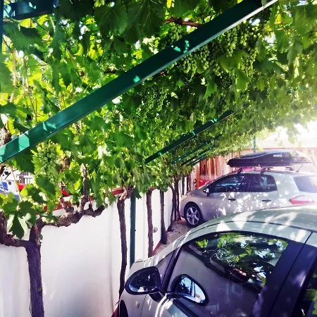 Eugen Pedisić Appartement